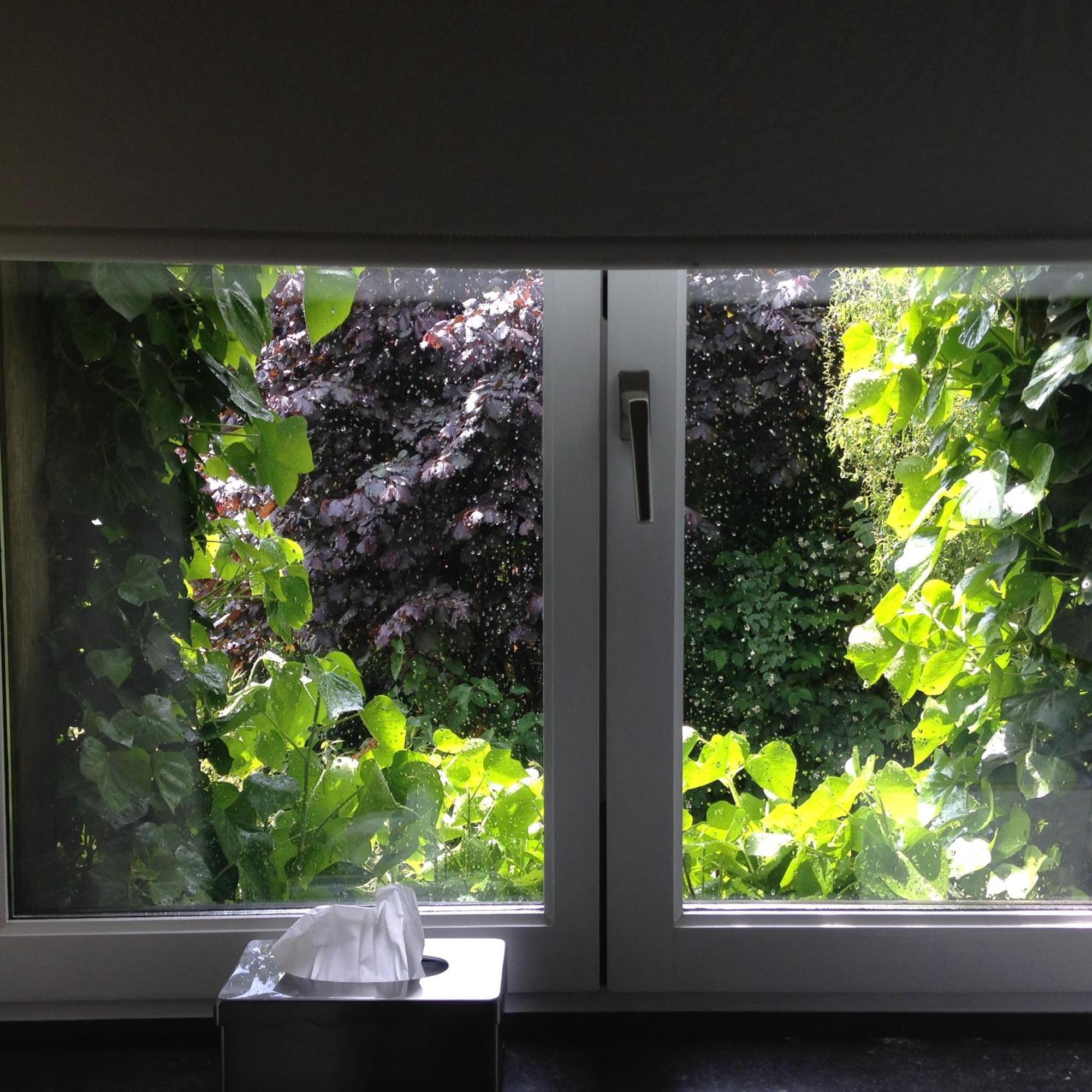 B&B Matin Tranquille Liège Eksteriør billede